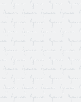 Купить AMAZON Summer mix#20 кг оптом в Кызыле и республике Тыва