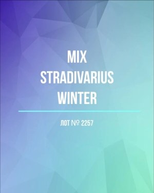 Купить STRADIVARIUS Winter mix#15 кг, ЛОТ №2257 оптом в Кызыле и республике Тыва