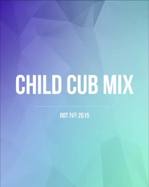 Купить CUBUS детский микс лето (Children CUBUS mix)#15 кг, ЛОТ №2515 оптом в Кызыле и республике Тыва