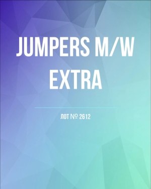 Купить Джемпер муж+жен экстра#15 кг , Лот№2612 оптом в Кызыле и республике Тыва