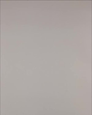 Фотография  531 - Нижнее белье Bon Prix дети#50 шт, ЛОТ №3242 оптом в Кызыле и республике Тыва