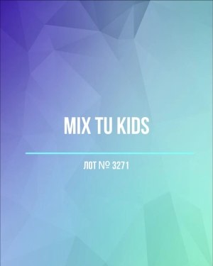 Купить TU Kids#8 кг, ЛОТ №3271 оптом в Кызыле и республике Тыва
