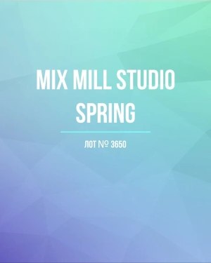 Купить MILL STUDIO Spring mix#15 кг, ЛОТ №3650 оптом в Кызыле и республике Тыва