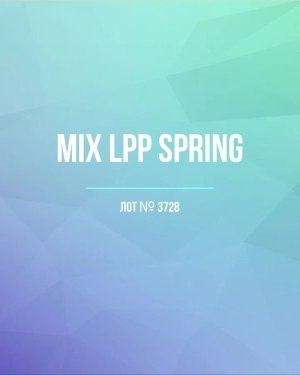 Купить LPP Spring mix#20 кг, ЛОТ №3728 оптом в Кызыле и республике Тыва