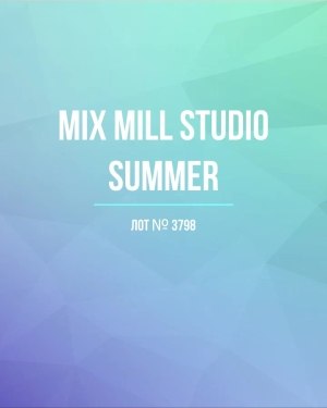 Купить MILL STUDIO Summer mix#15 кг, ЛОТ №3798 оптом в Кызыле и республике Тыва