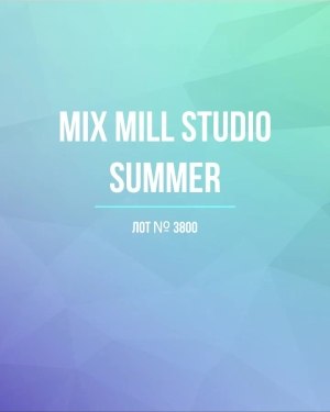 Купить MILL STUDIO Summer mix#15 кг, ЛОТ №3800 оптом в Кызыле и республике Тыва