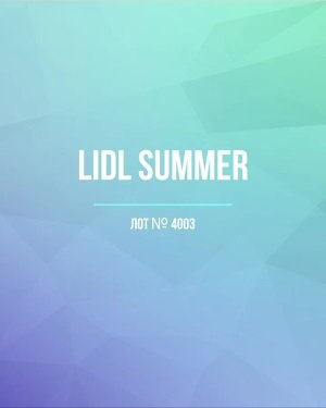 Купить LIDL Summer#20 кг, ЛОТ №4003 оптом в Кызыле и республике Тыва