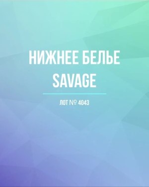 Купить Нижнее белье Savage#57 шт, ЛОТ №4043 оптом в Кызыле и республике Тыва