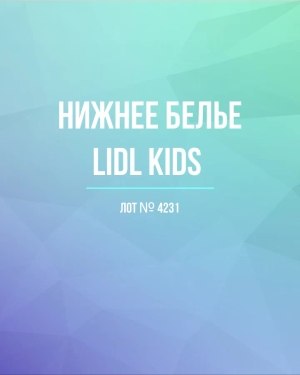 Купить Нижнее белье LIDL Kids#5 кг, ЛОТ №4231 оптом в Кызыле и республике Тыва