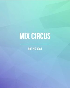 Купить CIRCUS mix #13 кг, ЛОТ №4261 оптом в Кызыле и республике Тыва