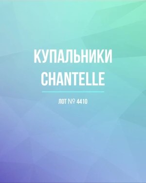 Купить Купальники Chantelle#30 шт, ЛОТ №4410 оптом в Кызыле и республике Тыва