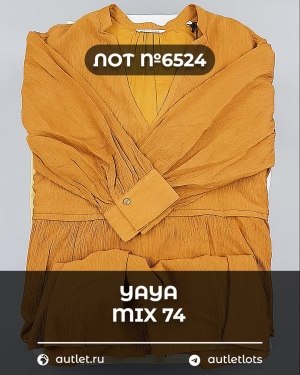 Купить YA YA 062024#39 шт, ЛОТ №6524 оптом в Кызыле и республике Тыва