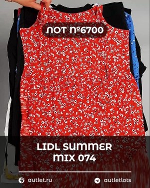 Купить LIDL Summer mix 074#15 кг, ЛОТ №6700 оптом в Кызыле и республике Тыва
