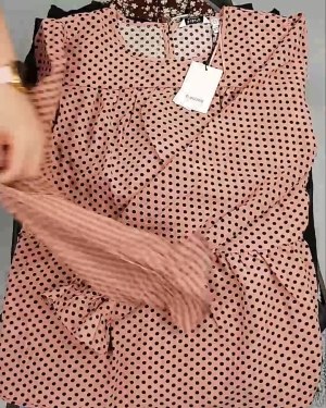 Фотография  774 - ДАНИЯ Winter mix 24#15 кг, ЛОТ №6710 оптом в Кызыле и республике Тыва