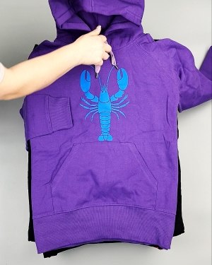 Фотография  504 - Толстовки м/ж (Sweat Tops)#20 кг, ЛОТ №7431 оптом в Кызыле и республике Тыва