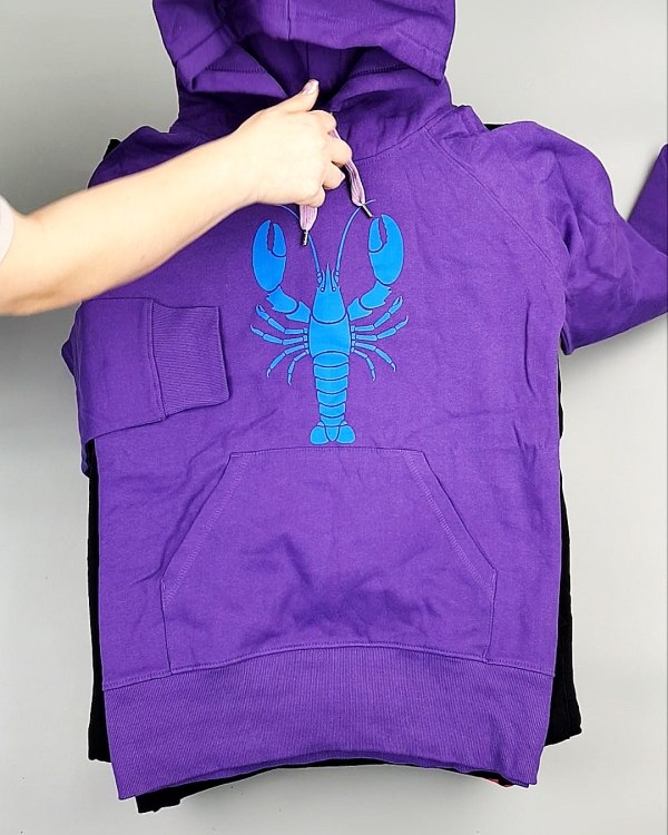 Фотография  106 - Толстовки м/ж (Sweat Tops)#20 кг, ЛОТ №7431 оптом в Кызыле и республике Тыва