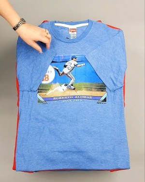 Фотография  651 - HOMAGE CAN 084#10 кг, ЛОТ №7499 оптом в Кызыле и республике Тыва