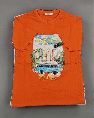 Купить Футболки мужские C-3141 (MEN T-shirt Sorbino) #4,8 кг оптом в Кызыле и республике Тыва