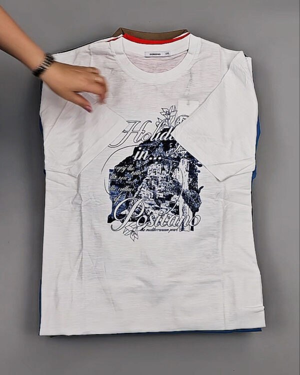 Фотография  566 - Футболки мужские C-3141 (MEN T-shirt Sorbino) #4,7 кг, ЛОТ №8833 оптом в Кызыле и республике Тыва