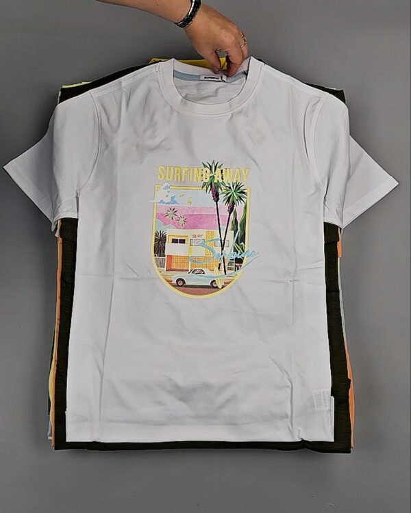 Фотография  670 - Футболки мужские C-3141 (MEN T-shirt Sorbino) #4,8 кг, ЛОТ №8835 оптом в Кызыле и республике Тыва