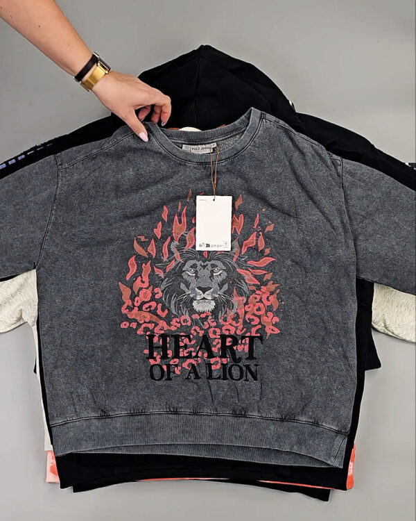 Фотография  726 - Толстовки Bestseller+DK 035#7 кг, ЛОТ СТ-9839 оптом в Кызыле и республике Тыва